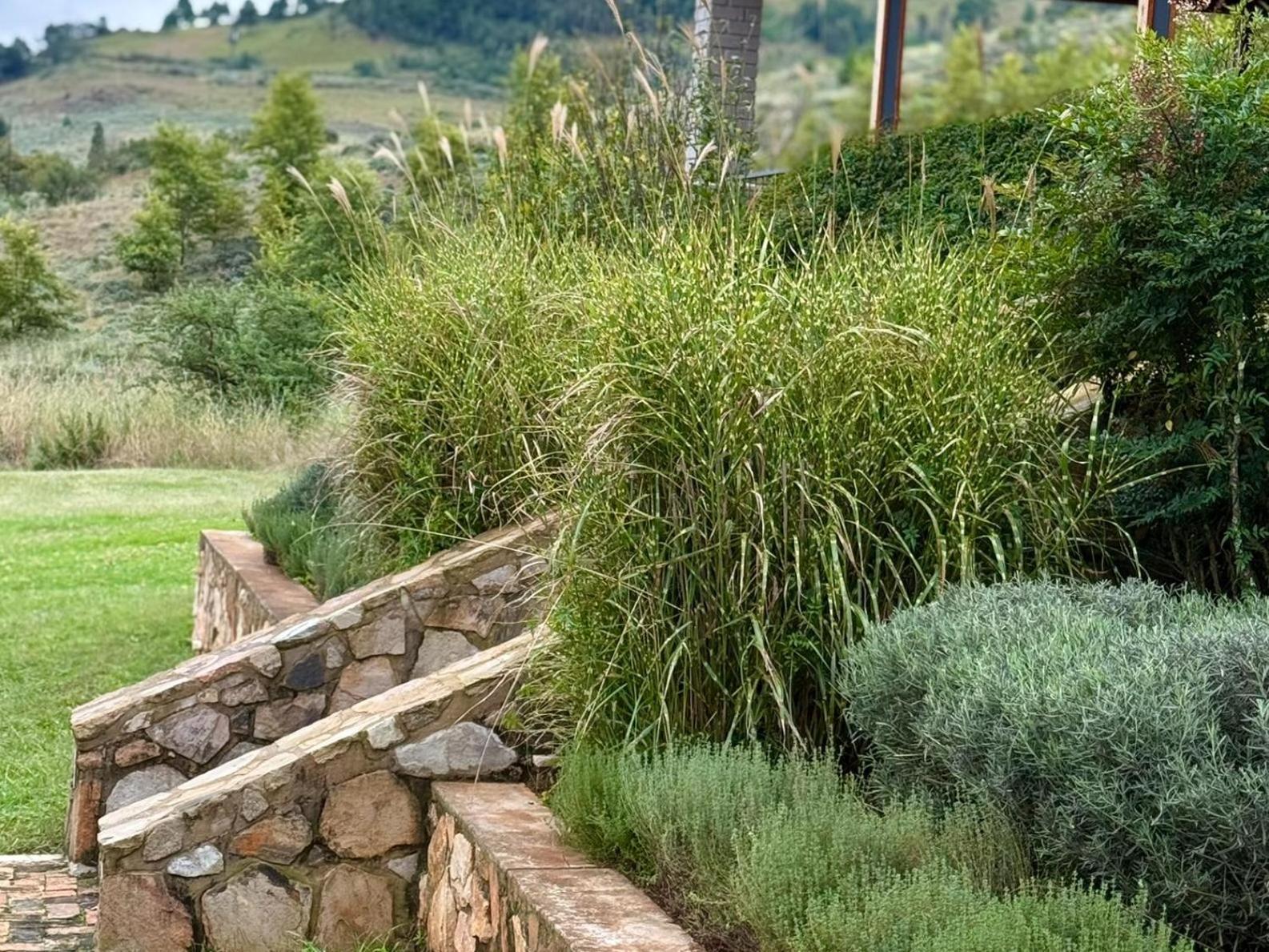 Stone Creek Mountain Lodge Dullstroom Esterno foto