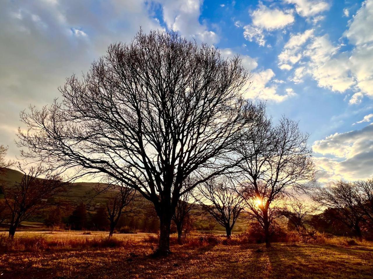 Stone Creek Mountain Lodge Dullstroom Esterno foto