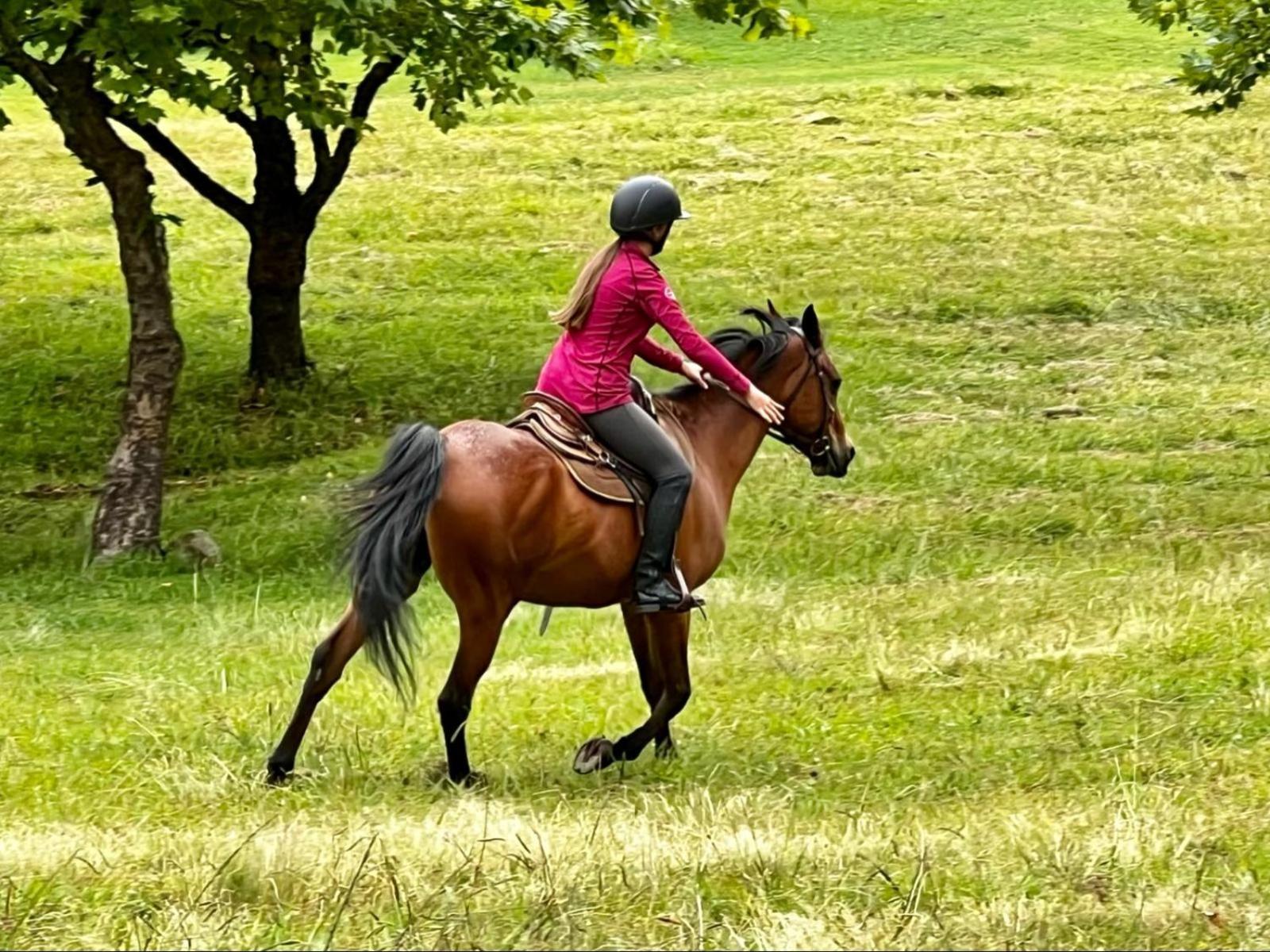 Stone Creek Mountain Lodge Dullstroom Esterno foto